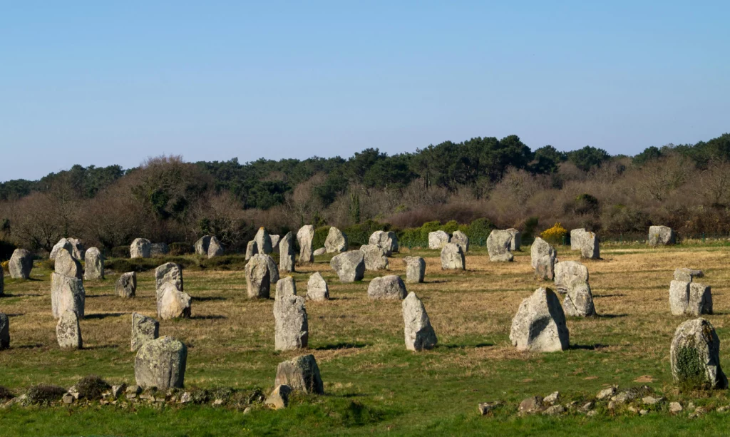 Alignements de menhirs à Carnac sous un ciel bleu, symboles du patrimoine mégalithique breton proposés dans les circuits MJ Prestige.